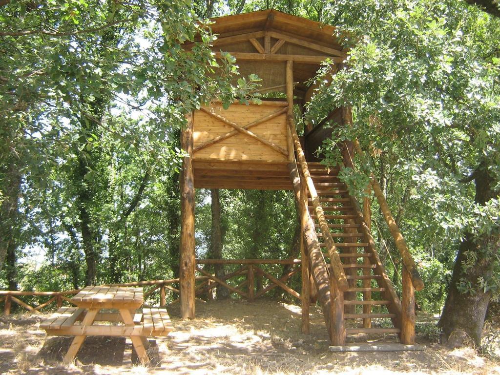 Bauernhof Le Baccane *