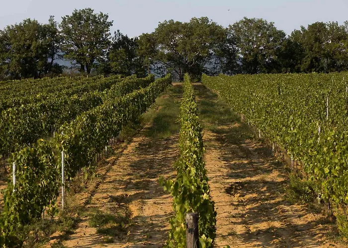 Agriturismo Le Baccane