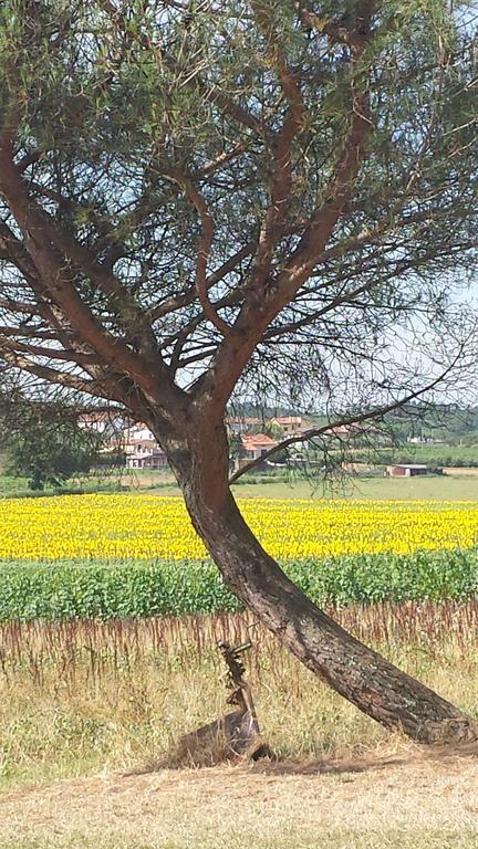 Agroturismo Le Baccane